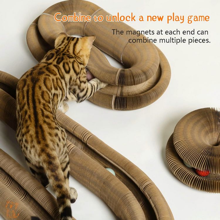 Magic Organ Cat Scratcher Board